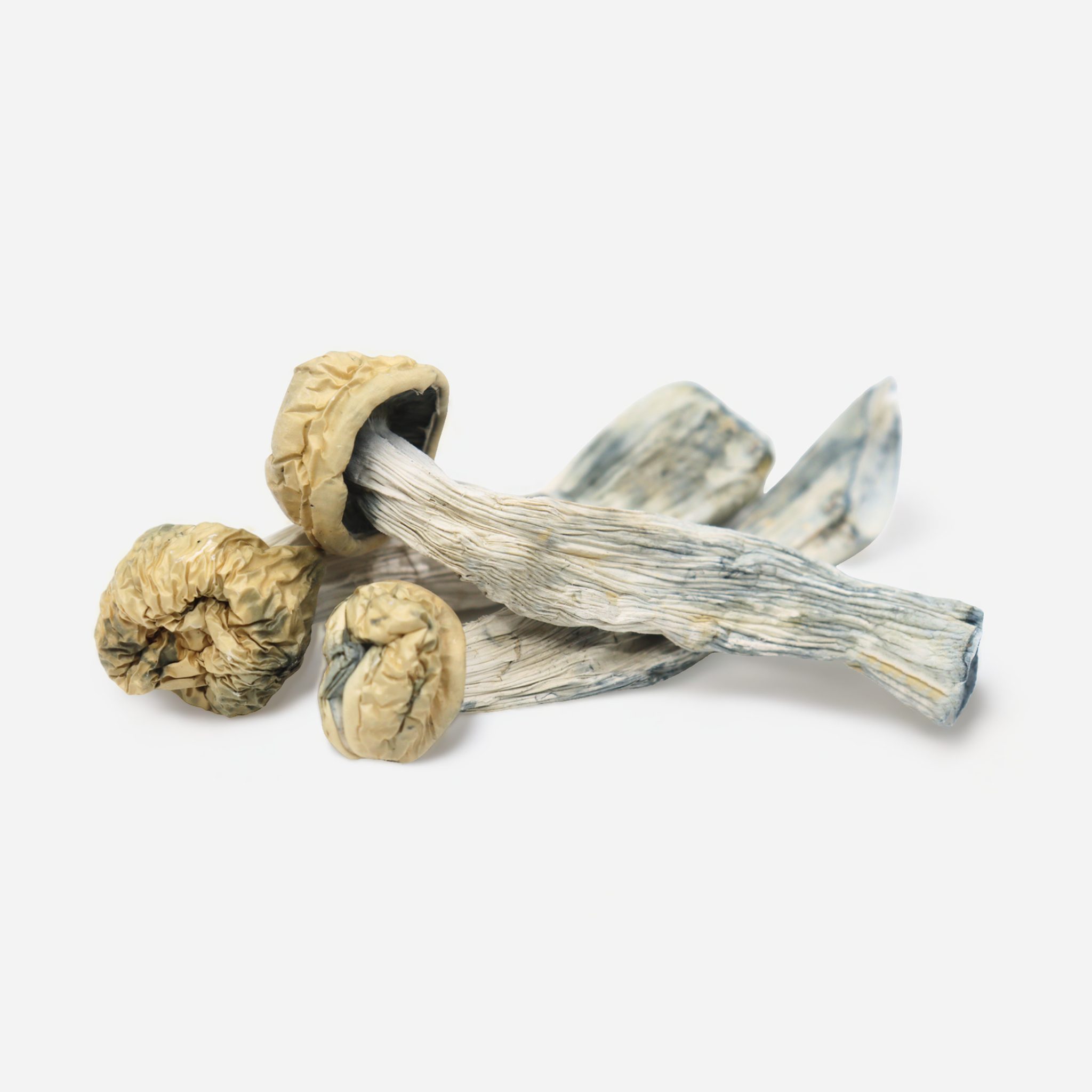 Yeti mushroom strain review
